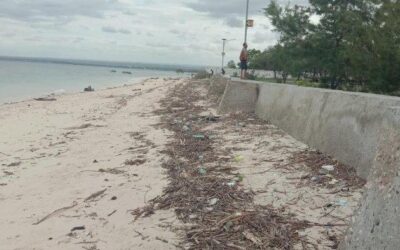 Since the Covid-19 Pandemic, the Flow of Visits to Londa Lima Beach, East Sumba Has Dropped Drastically