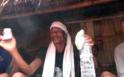 Souvenirs from Kodi & Samuel Rangga Boro, the ‘Anti-Covid-19 Herb’ (Part 2)