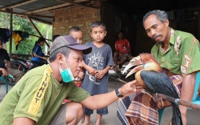 Endemic Bird Rescue of Sumba Affected by Seroja Storm by Matalawa Tn Hall Officer