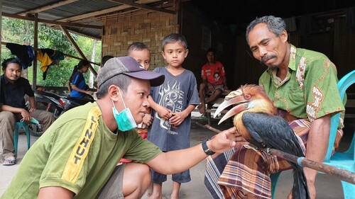 Penyelamatan Burung Endemik Sumba Terdampak Badai Seroja oleh Petugas Balai TN Matalawa