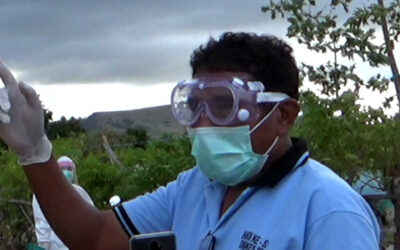 Eleven Samples Still a Mystery, Eight East Sumba SWAB Samples Negative for Covid-19
