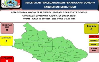 Seluruh Pasien Sembuh, Sumba Timur Kembali ke Zona Hijau