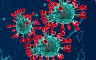Update Corona NTT: 57 Positif, 25 Sembuh dan 1 Meninggal