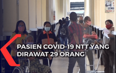Pasien Covid-19 NTT Yang Dirawat Masih 29 orang