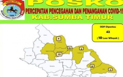 UPDATE CORONA SUMBA TIMUR : 42 ODP Covid-19 di Sumba Timur Masih Dipantau