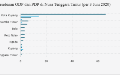 Nusa Tenggara Timur Masih Rawat 103 ODP dan 19 PDP