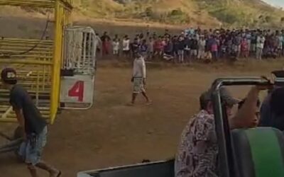 Viral Video Pacuan Kuda saat PPKM di Sumba Timur, Kapolres Pastikan Kegiatan Tak Berizin