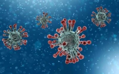 Two Covid-19 Patients Died in East Sumba