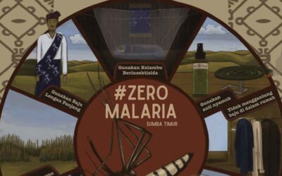 Malaria Prevention in East Sumba: the Power of an Educational Poster